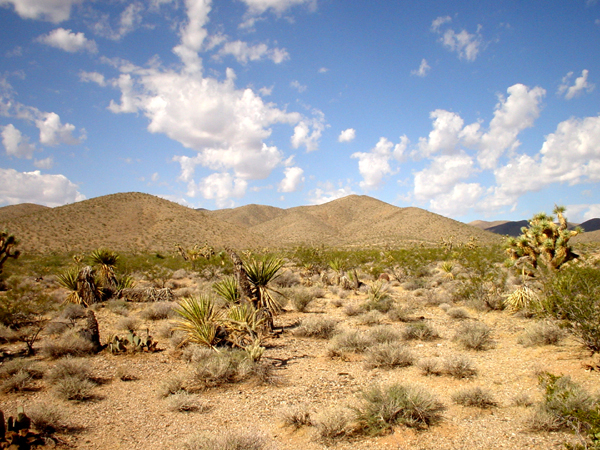 shadow_mountain