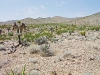 slr-photos_2