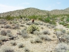 slr-photos_4