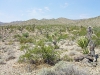slr-photos_6